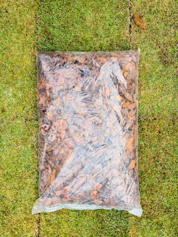 Casca de Pinus Rústica